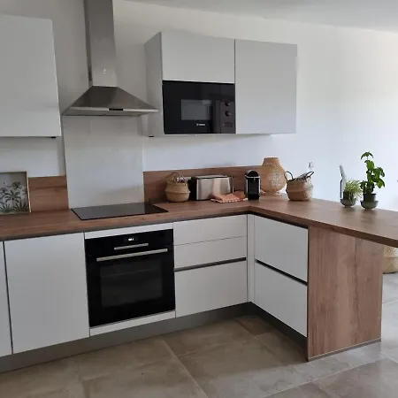 Neuf Grande Terrasse Agosta Lejlighed Albitreccia