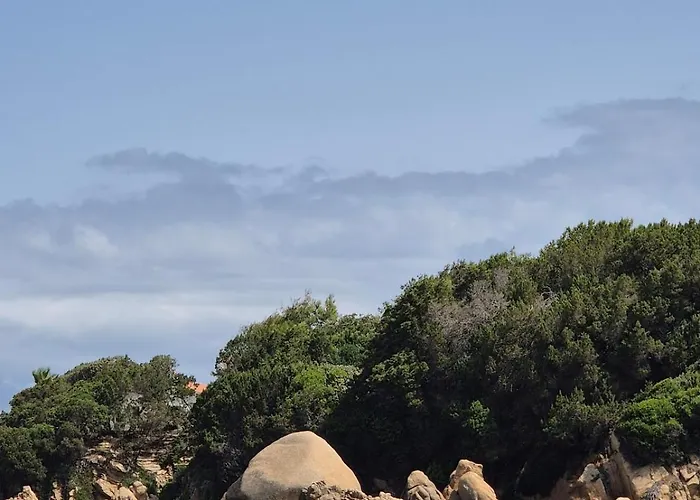 Neuf Grande Terrasse Agosta Appartement *